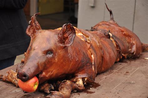 whole hog pig roast